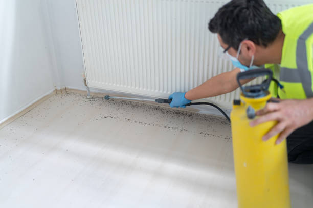 Best Pest Control Near Me  in Center Hill, FL